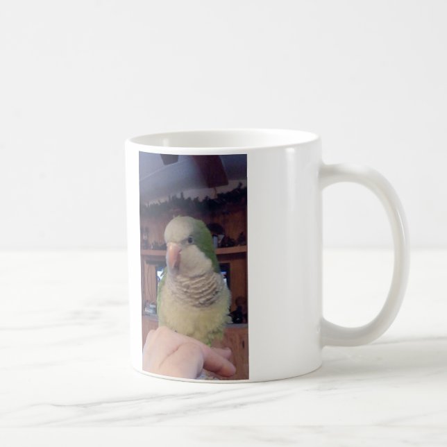 Sittande snyggt Quaker papegoja mugg (Höger)