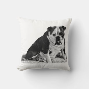 Sittbulldog, tysta toner kudde