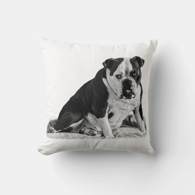 Sittbulldog, tysta toner kudde (Framsida)