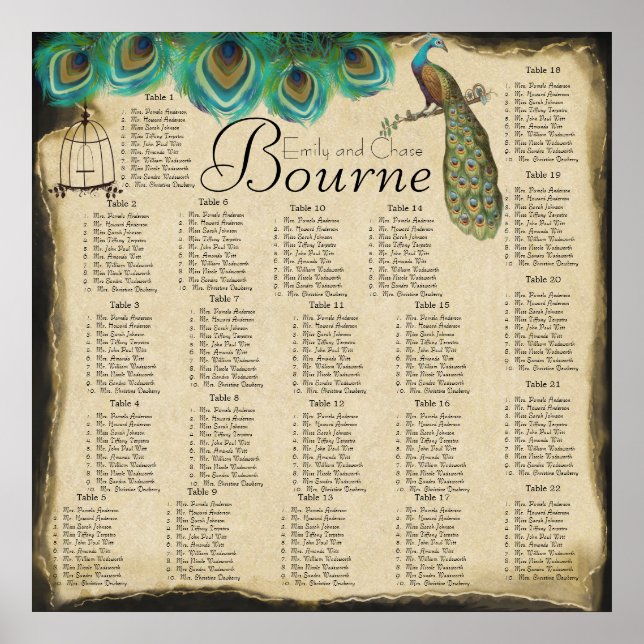 Sittdiagram för rastning av fåglarnas fågel poster (Framsidan)