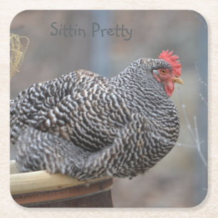 Sittin Söt Chicken Party Underlägg Papper Kvadrat