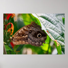 Sitting Still Poster