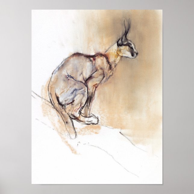 Sittkaracal 2009 poster (Framsidan)