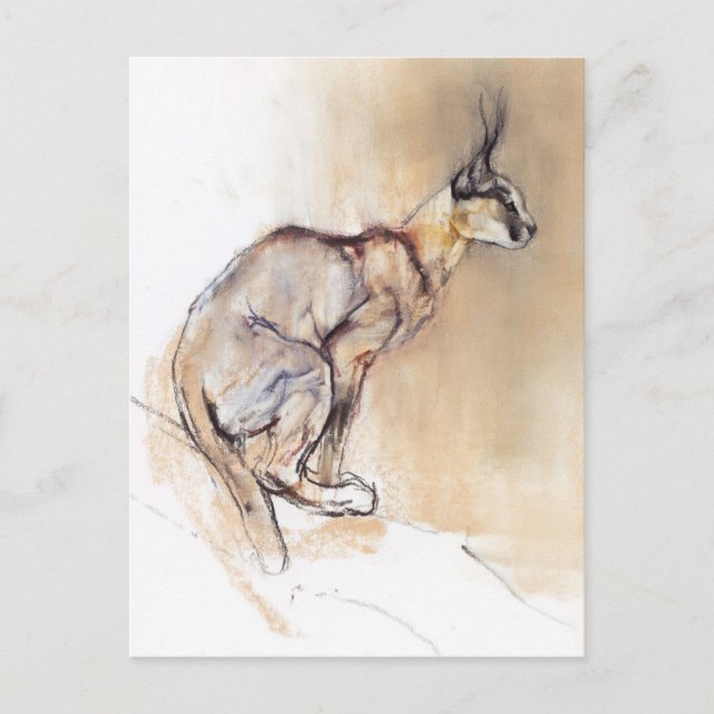 Sittkaracal 2009 vykort (Framsida)