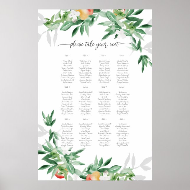 Sittplatsplan för sommartid Poster (Framsidan)