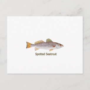 Sittrout (med titel) vykort