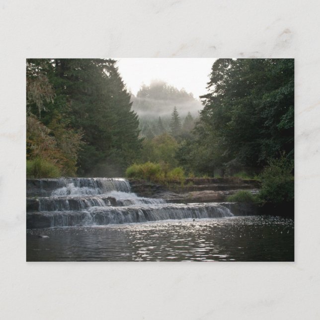 Siuslaw Falls Vykort (Framsida)