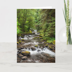 Siuslaw National Forest   Sweet Creek Kort