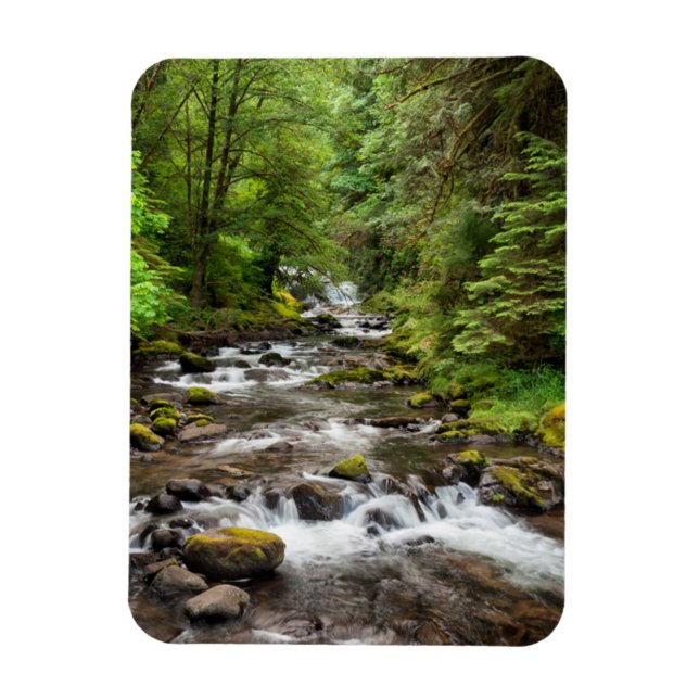 Siuslaw National Forest | Sweet Creek Magnet (Vertikal)