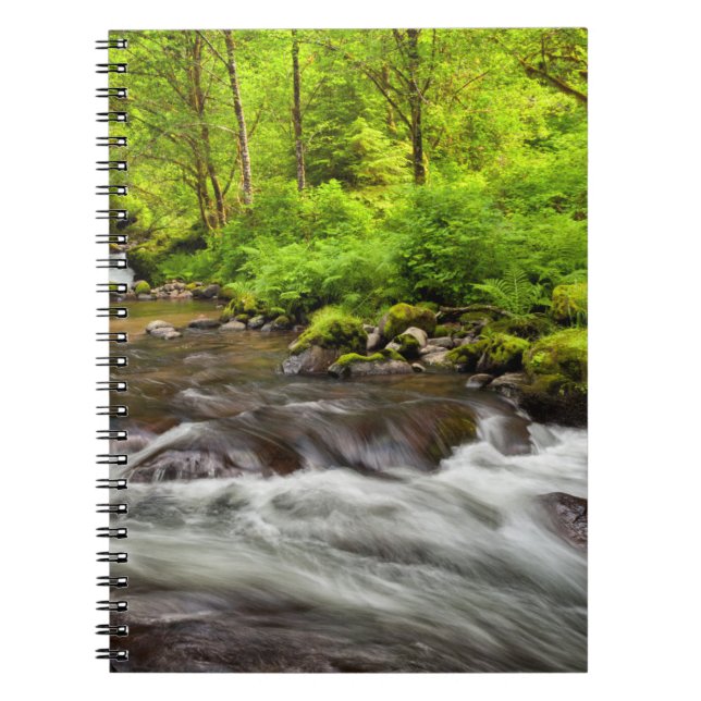 Siuslaw National Forest, Sweet Creek, Oregon Anteckningsbok (Framsidan)