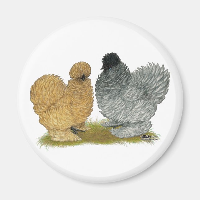 Sizzle Chickens Magnet (Framsidan)