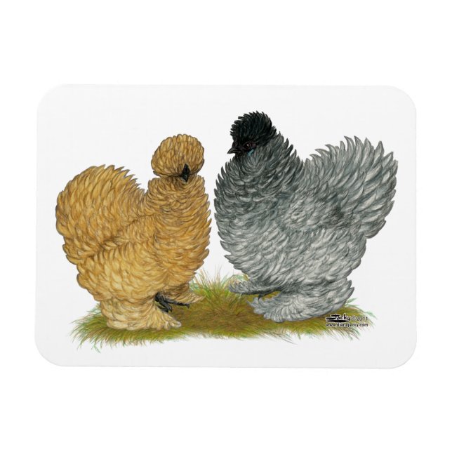Sizzle Chickens Magnet (Horisontell)