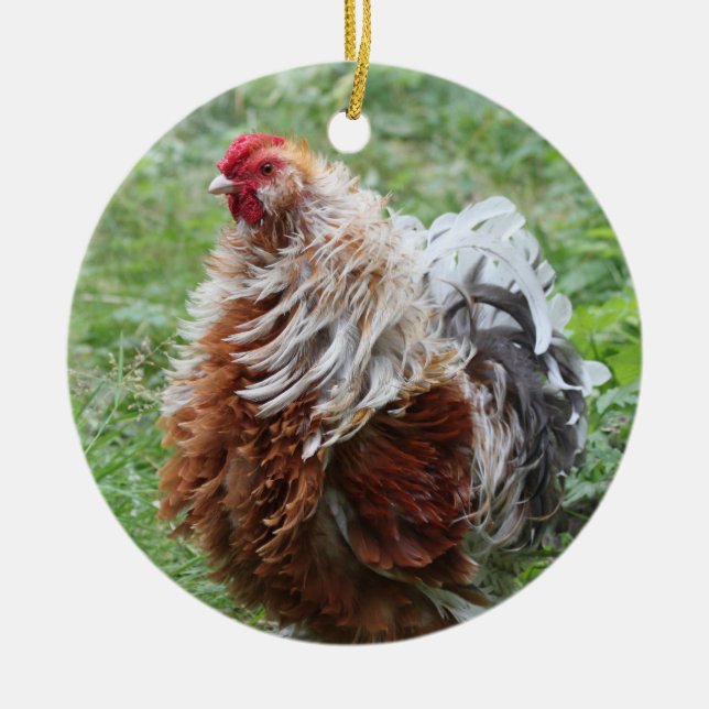 Sizzle Frizzle Fluffy Chicken Julgransprydnad Keramik (Framsidan)