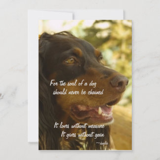 Själ av en hund julkort