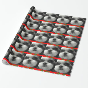 Sjal för Shih tzujul Presentpapper