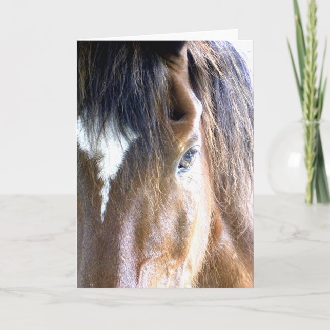 Själens Häst Ansikte Närbild Fotografi Kort (Framsida)