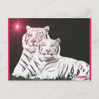 SJÄLENS VÄNNER VYKORT