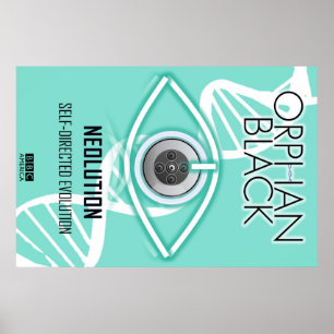 Själv-Riktad evolution (affischen) Poster