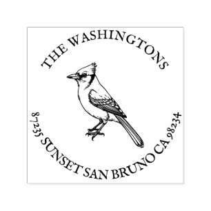 SJÄLVFÄRGANDE STÄMPEL