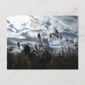 Självgående vykort