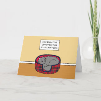 Självisolerad Tecknad Katt Sömpande Kort