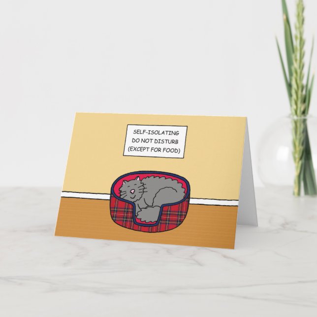 Självisolerad Tecknad Katt Sömpande Kort (Framsida)