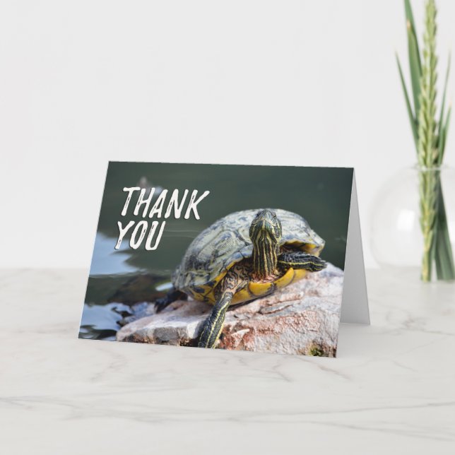 Självklart Foto Tackkort för Sköldpadda (Framsida)