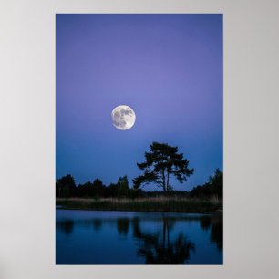 Självlysande månnatthimel Väggkonsttryck för hemme Poster