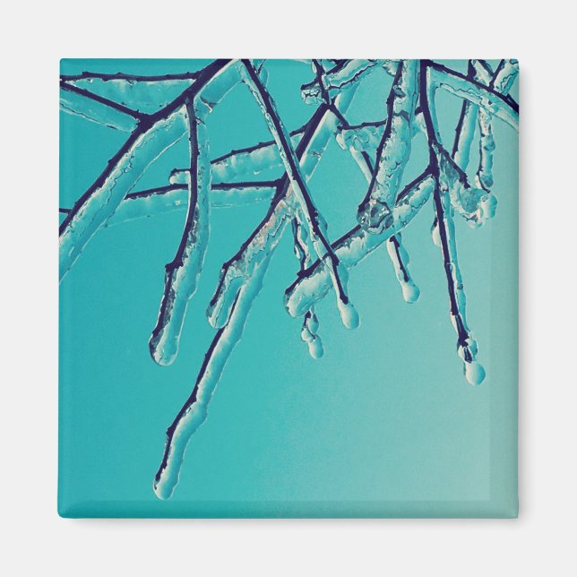 Självmord grenar magnet (Framsidan)