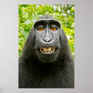Självporträtt med apa poster