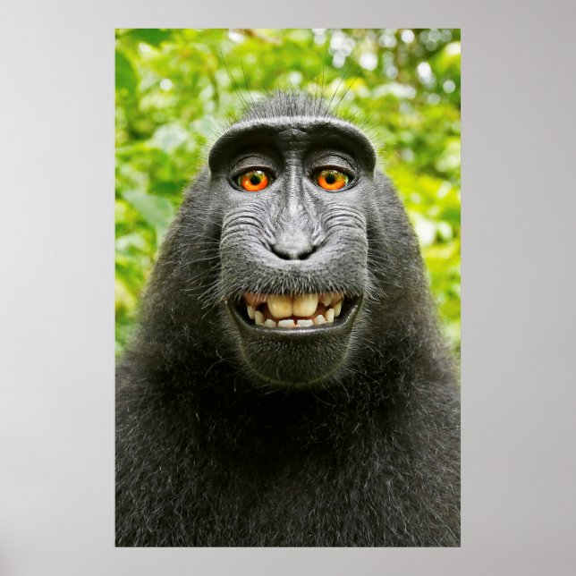 Självporträtt med apa poster (Framsidan)