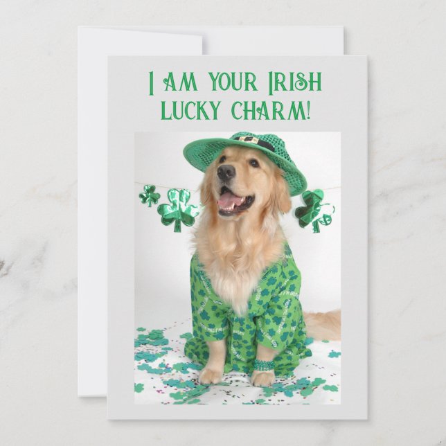Självskrattande skoj kort för hund på St. Patricks (Framsida)