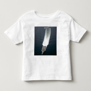 Självständigheten 2 för littoralstridfrakt tee shirt