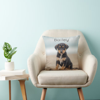 Självvald Foto på Hund Namn Kudd Kudde