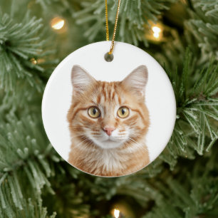 Självvald kattfoto-julgranskula julgransprydnad keramik