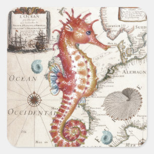 Sjaskig Seahorse Fyrkantigt Klistermärke