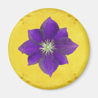 Sjätte Chakra Gift - tredje Öga Magnet