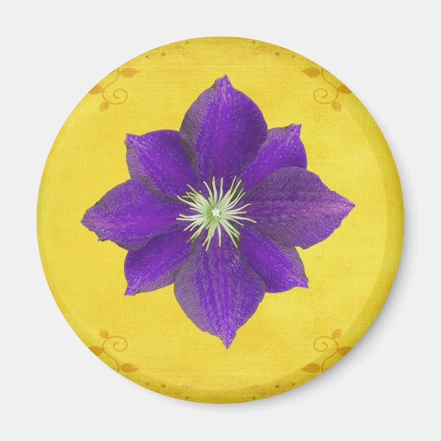 Sjätte Chakra Gift - tredje Öga Magnet (Framsidan)