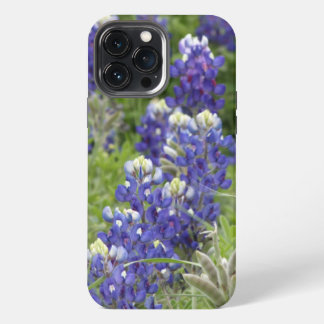 SJefferson Texas Bluebonnets Serie #2