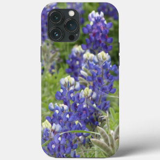 SJefferson Texas Bluebonnets Series #2