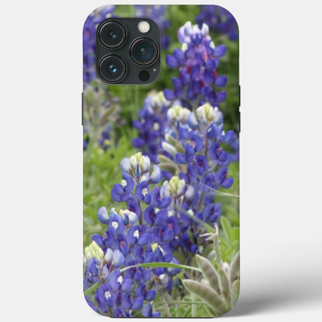 SJefferson Texas Bluebonnets Series #2 (Baksida)