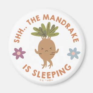 Sjh.. Mandrake sover Magnet