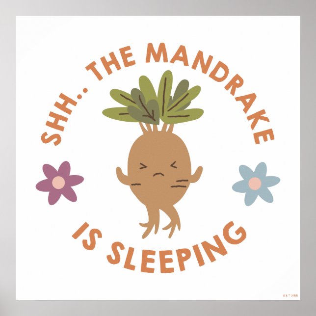 Sjh.. Mandrake sover Poster (Framsidan)