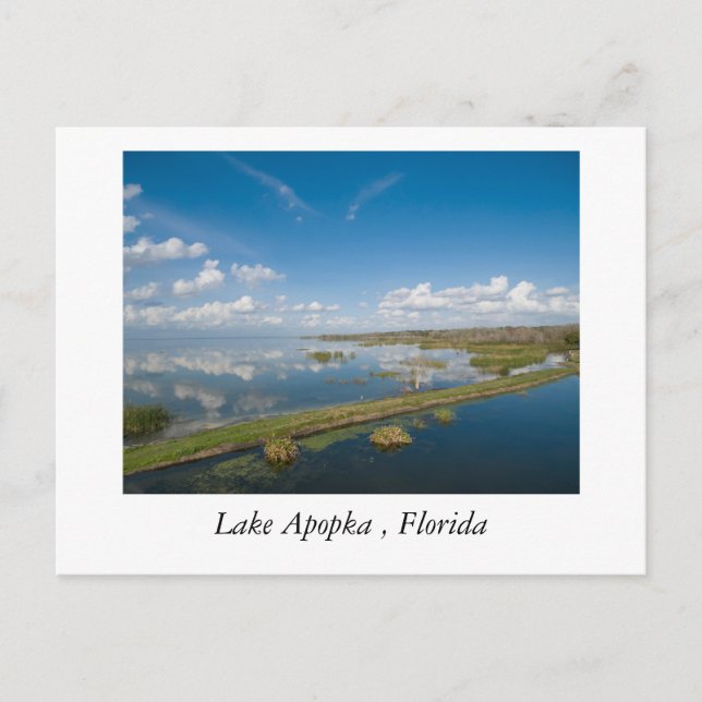 Sjö Apopka, Florida Vykort (Framsida)