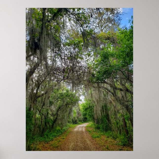 Sjö Apopka Loop Trail, Florida Poster (Framsidan)