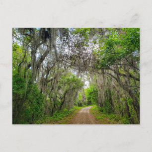 Sjö Apopka Loop Trail, Florida Vykort