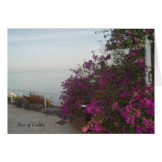 Sjö av Galileekort Hälsningskort