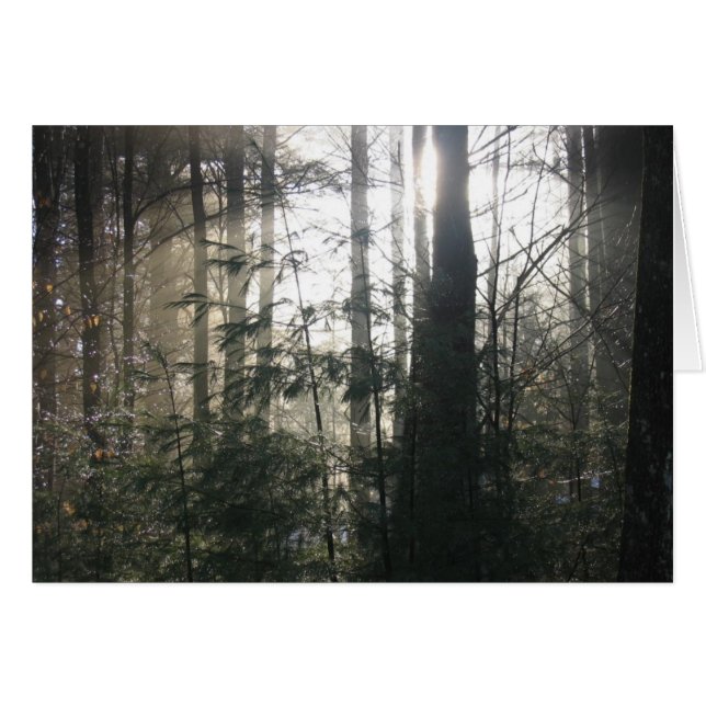 Sjö Backe Winter, NY Hälsningskort (Framsidan Horizontal)