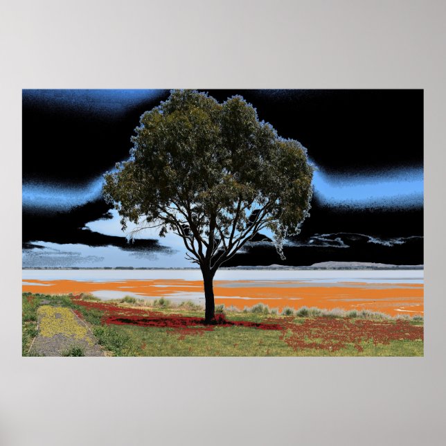 Sjö Beeac Solo Träd Poster (Framsidan)
