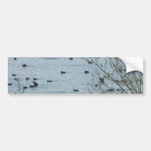 Sjö Birds Bumper Sticker Bildekal